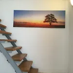 Judia Litomyšl